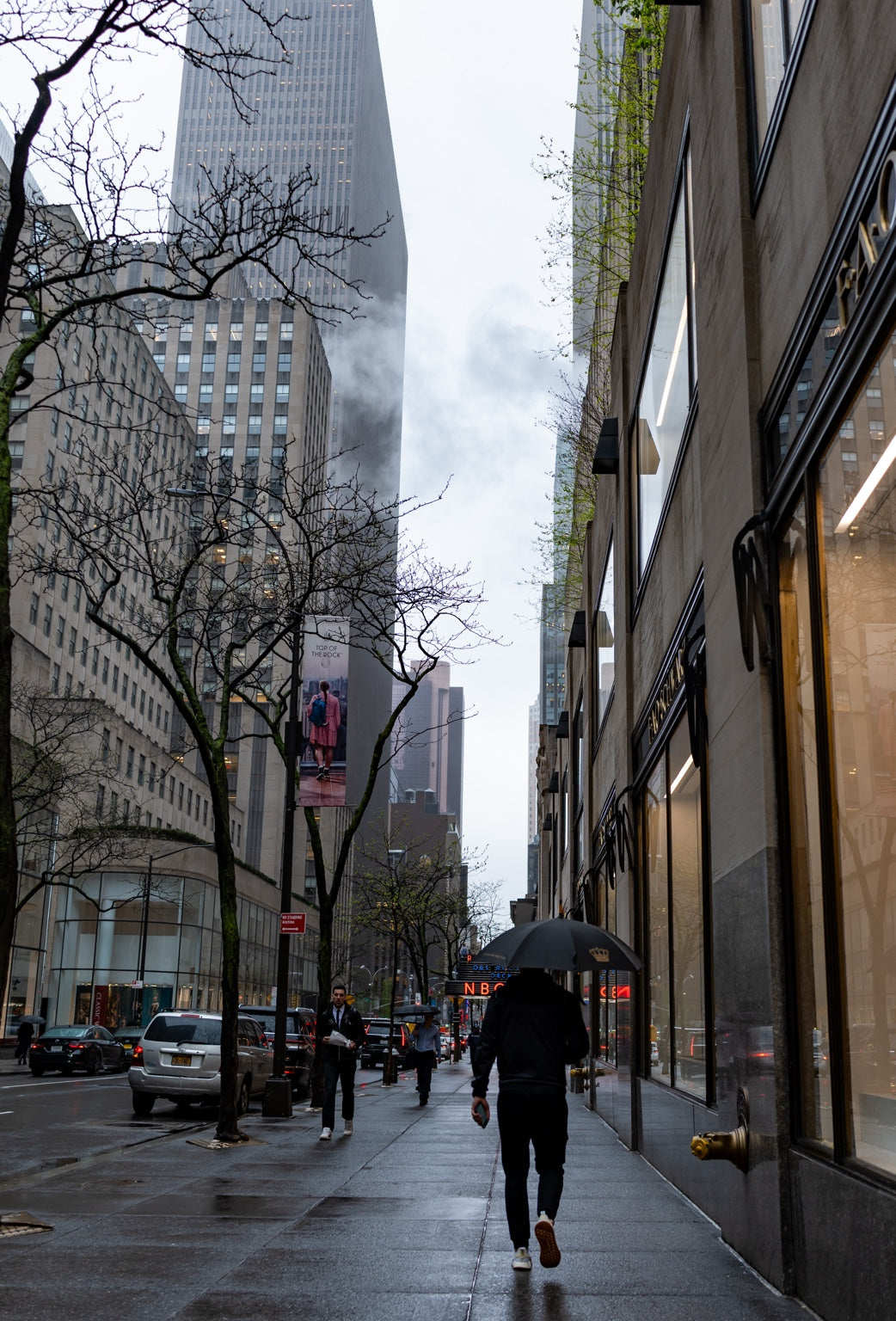 Trees and buildings on a New York street