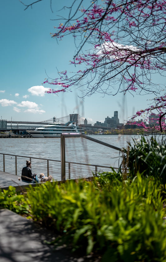 New York photograph by PICSANTYX