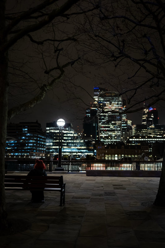 A London night framed by tree branches